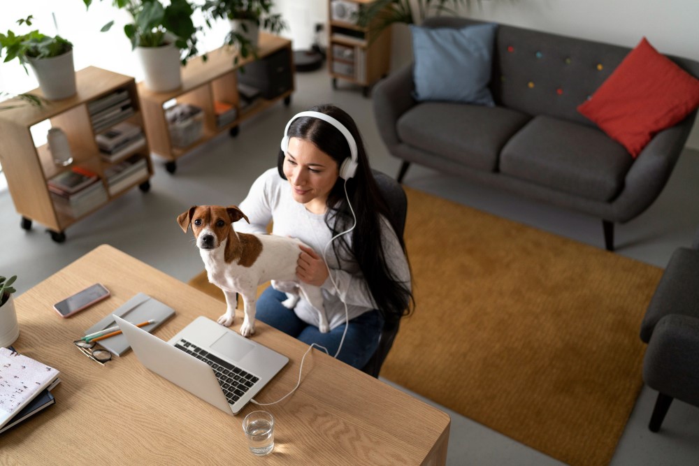 developer working from home with her dog